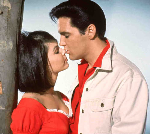 4 Film Favorites: Elvis Presley Musicals (Girl Happy / Kissin' Cousins / Live a Little, Love a Little / Tickle Me) [DVD Box Set]