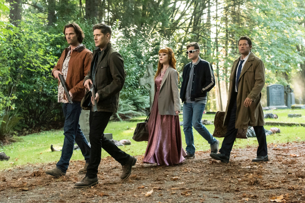 Supernatural: Season 15 [DVD]