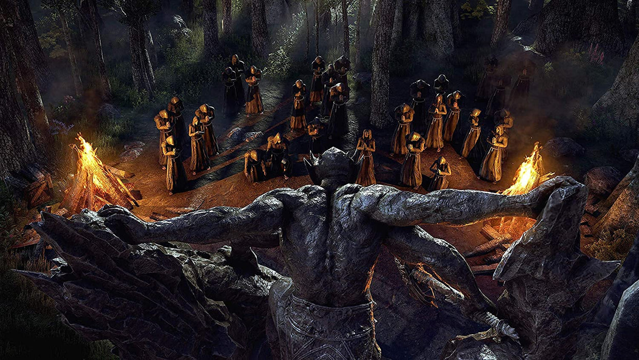 The Elder Scrolls Online: Blackwood [PlayStation 4]