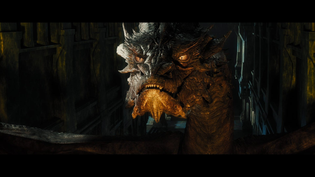 The Hobbit: The Desolation of Smaug [DVD + Digital]