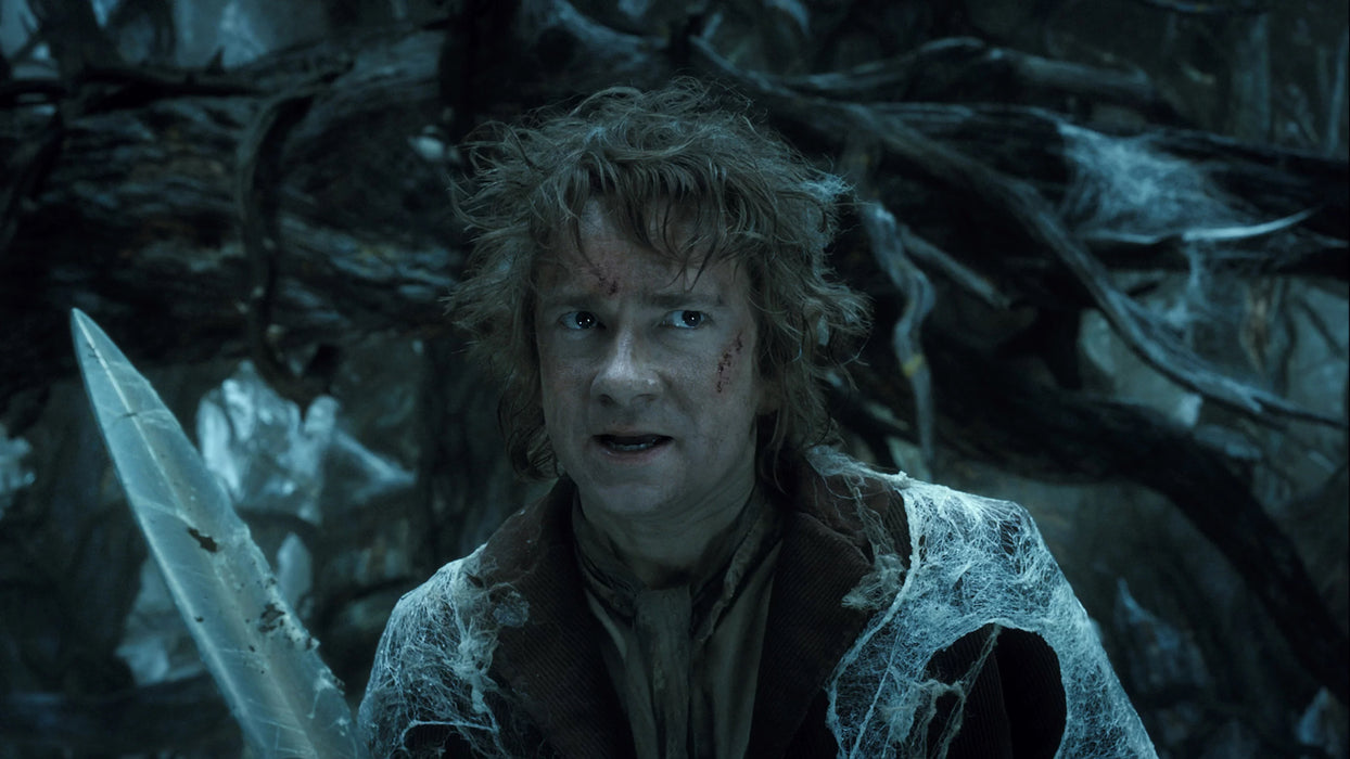 The Hobbit: The Desolation of Smaug [DVD + Digital]