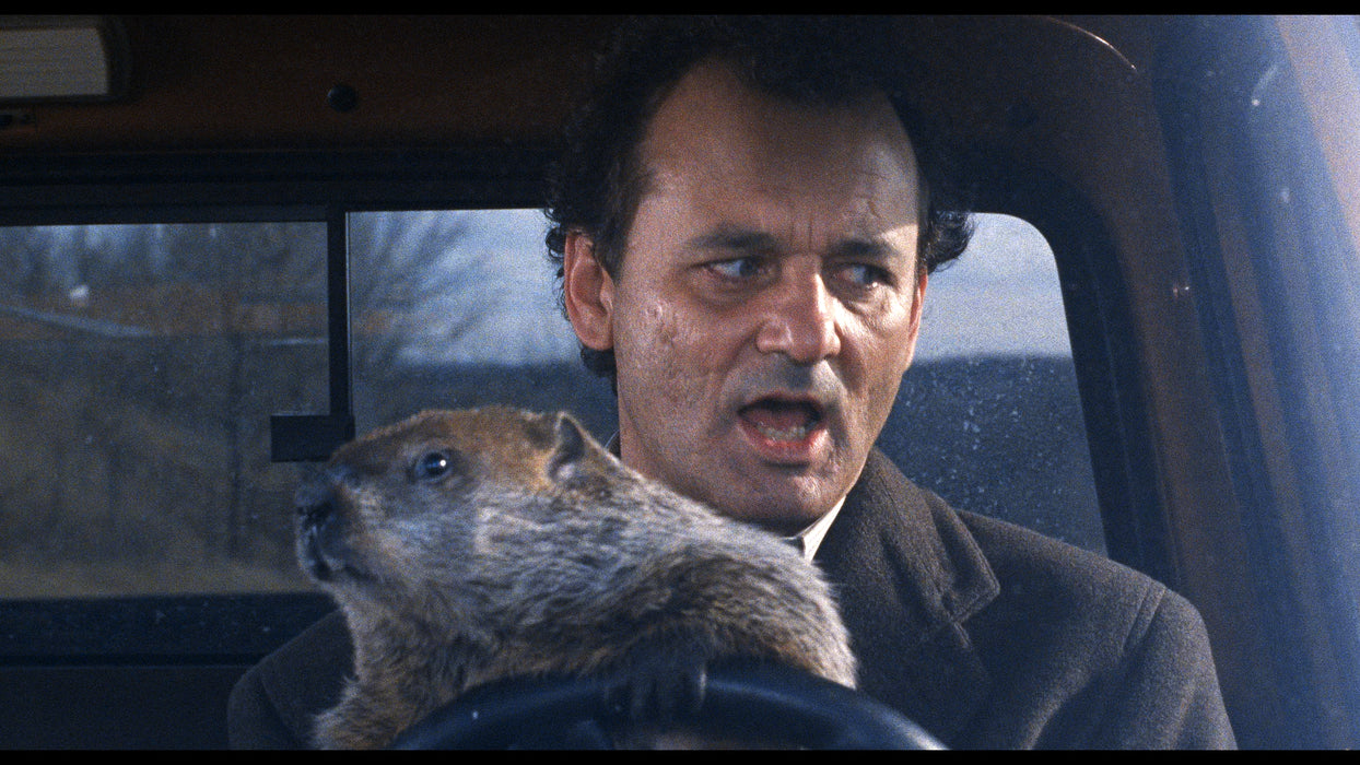 Groundhog Day 30th anniversary: Limited Edition SteelBook [Blu-Ray]