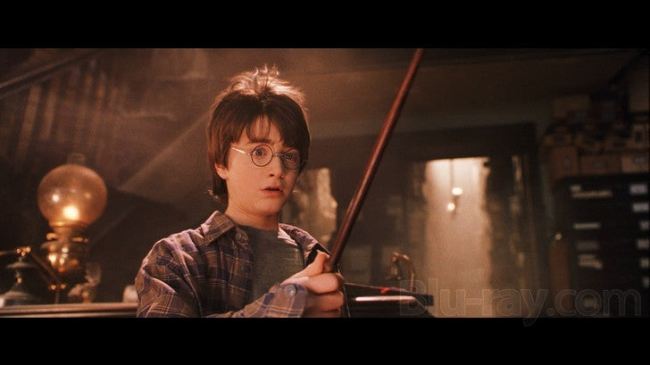 Harry Potter: The Complete 8-Film Collection (DVD,Box-Set) – Potter Premium  Store