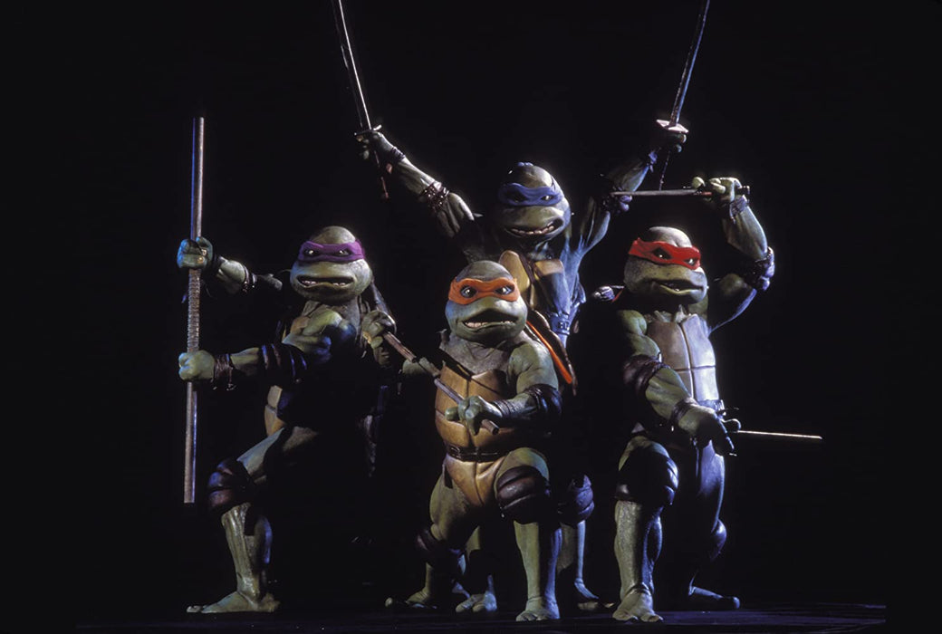 4 Film Favorites: Teenage Mutant Ninja Turtles [DVD Box Set]