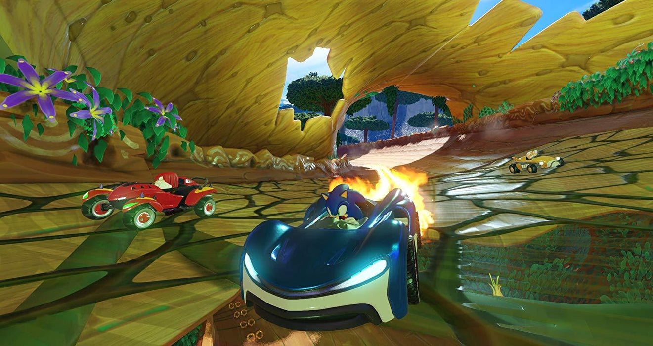 Team Sonic Racing [Nintendo Switch]