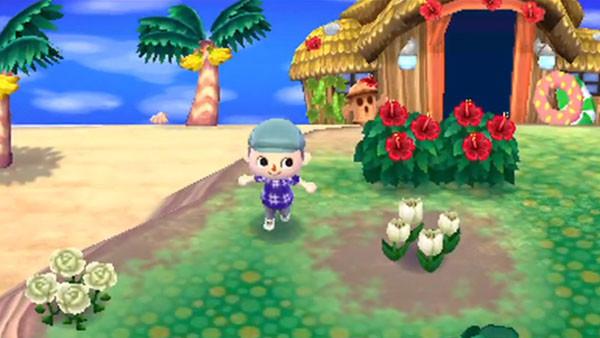 Animal Crossing: New Leaf [Nintendo 3DS]