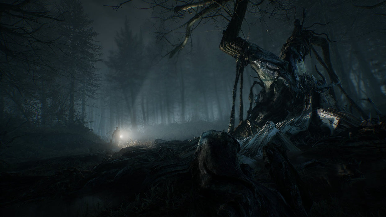 Blair Witch [PlayStation 4]