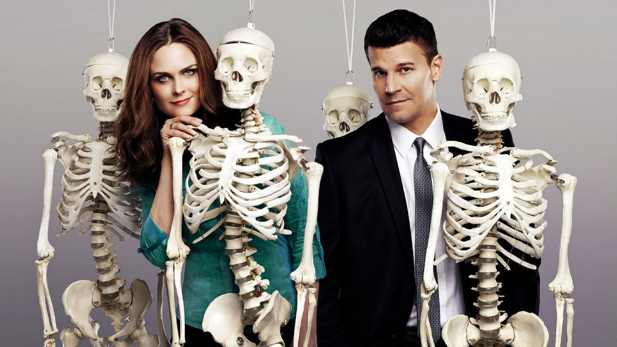 Bones: The Complete Series - Seasons 1-12 [DVD Box Set]