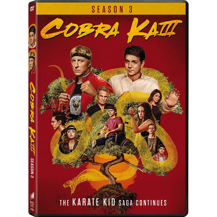Cobra Kai: Season 3 [DVD Box Set]