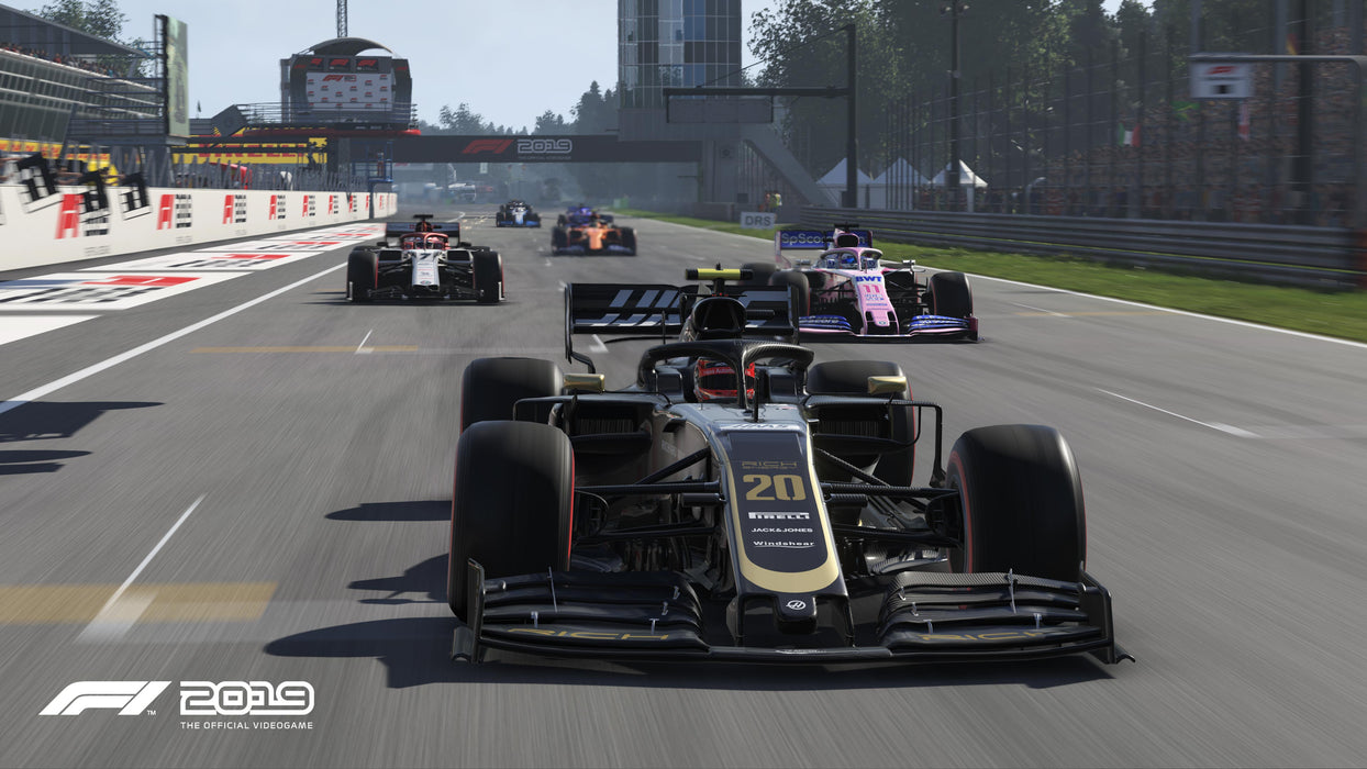 F1 2019 [PlayStation 4]