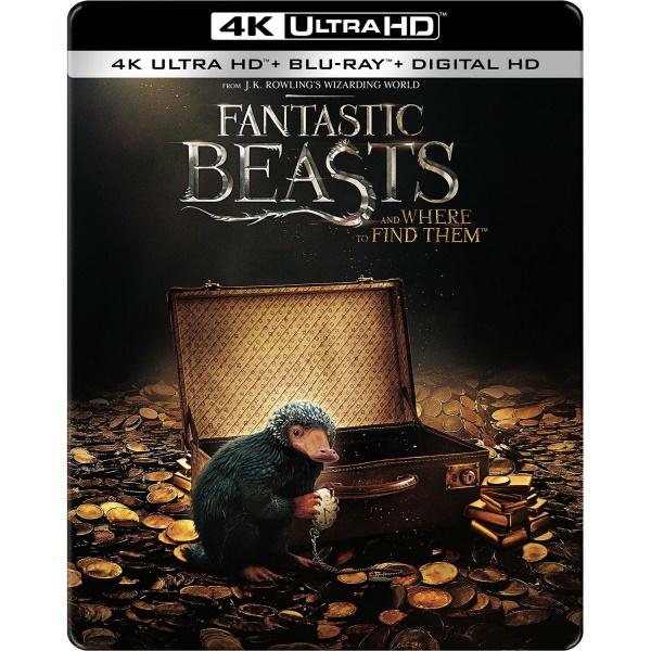 Fantastic Beasts and Where to Find Them - 4K Limited Edition SteelBook - Best Buy Exclusive [Blu-ray + 4K UHD + Digital]