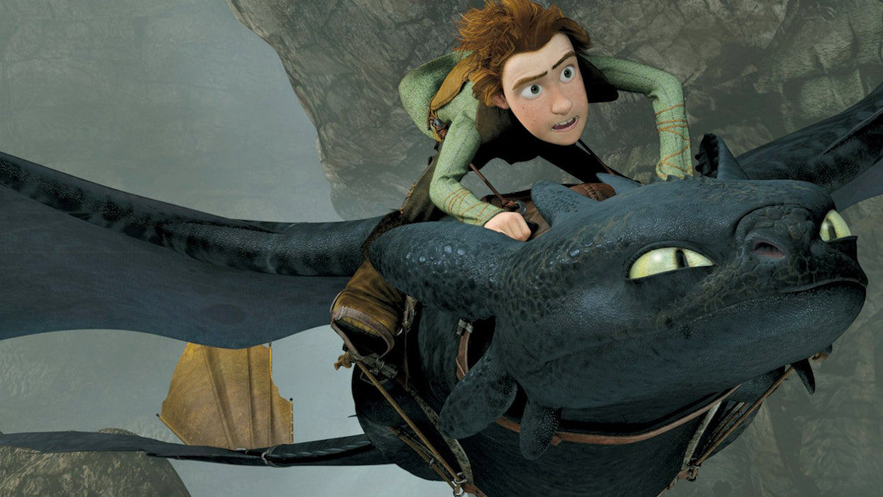 How to Train Your Dragon [Blu-ray + DVD]