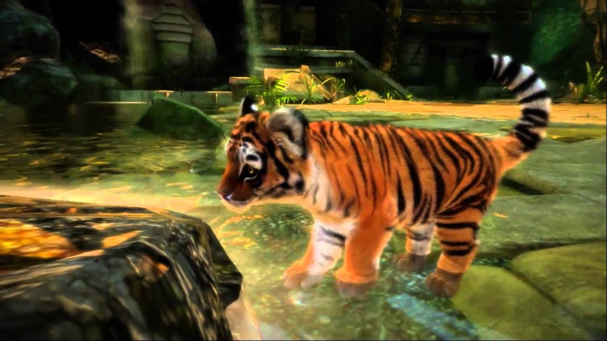 Kinectimals - Limited Edition w/ Maltese Tiger Plush [Xbox 360]