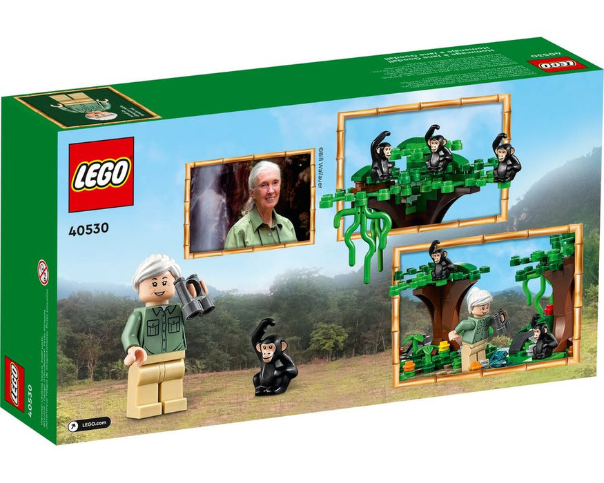 LEGO Jane Goodall Tribute - 276 Piece Building Kit [LEGO, #40530]