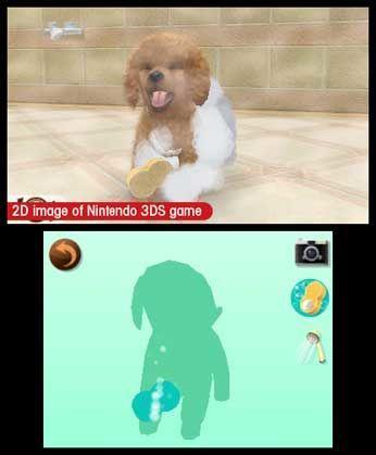 Nintendogs + Cats: Toy Poodle & New Friends [Nintendo 3DS]