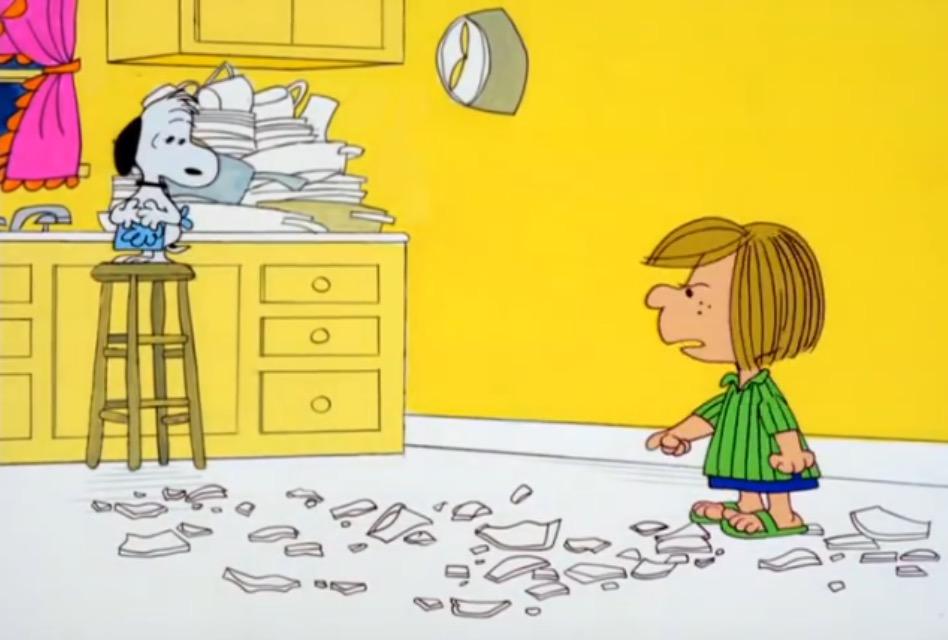 Peanuts: 1960's Collection [DVD Box Set]