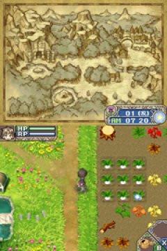 Rune Factory: A Fantasy Harvest Moon [Nintendo DS DSi]