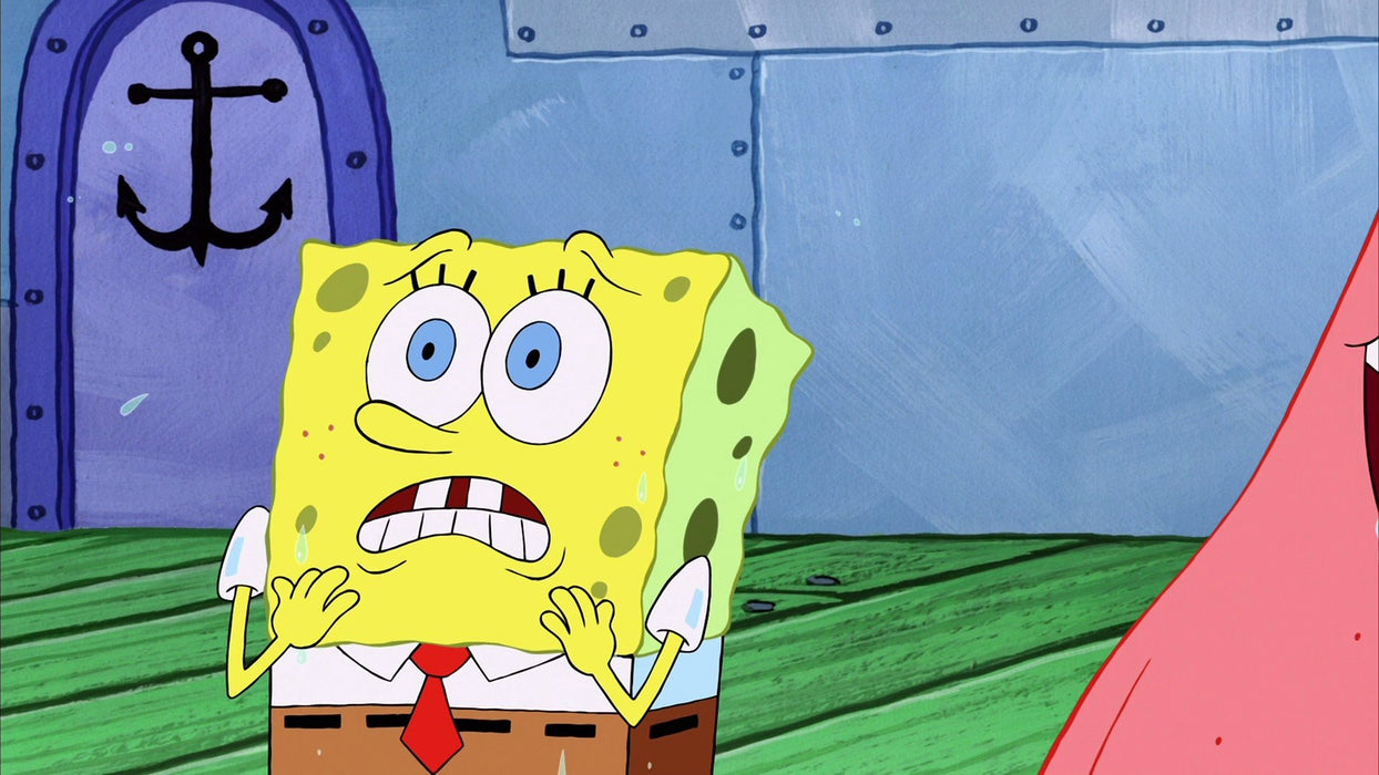 Spongebob Squarepants: The First 100 Episodes - Seasons 1-5 [DVD Box Set]