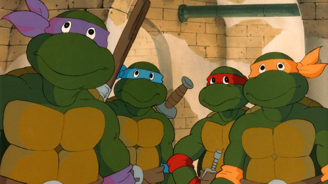 Teenage Mutant Ninja Turtles: The Complete Classic Series Collection - Seasons 1-10 [DVD Box Set]