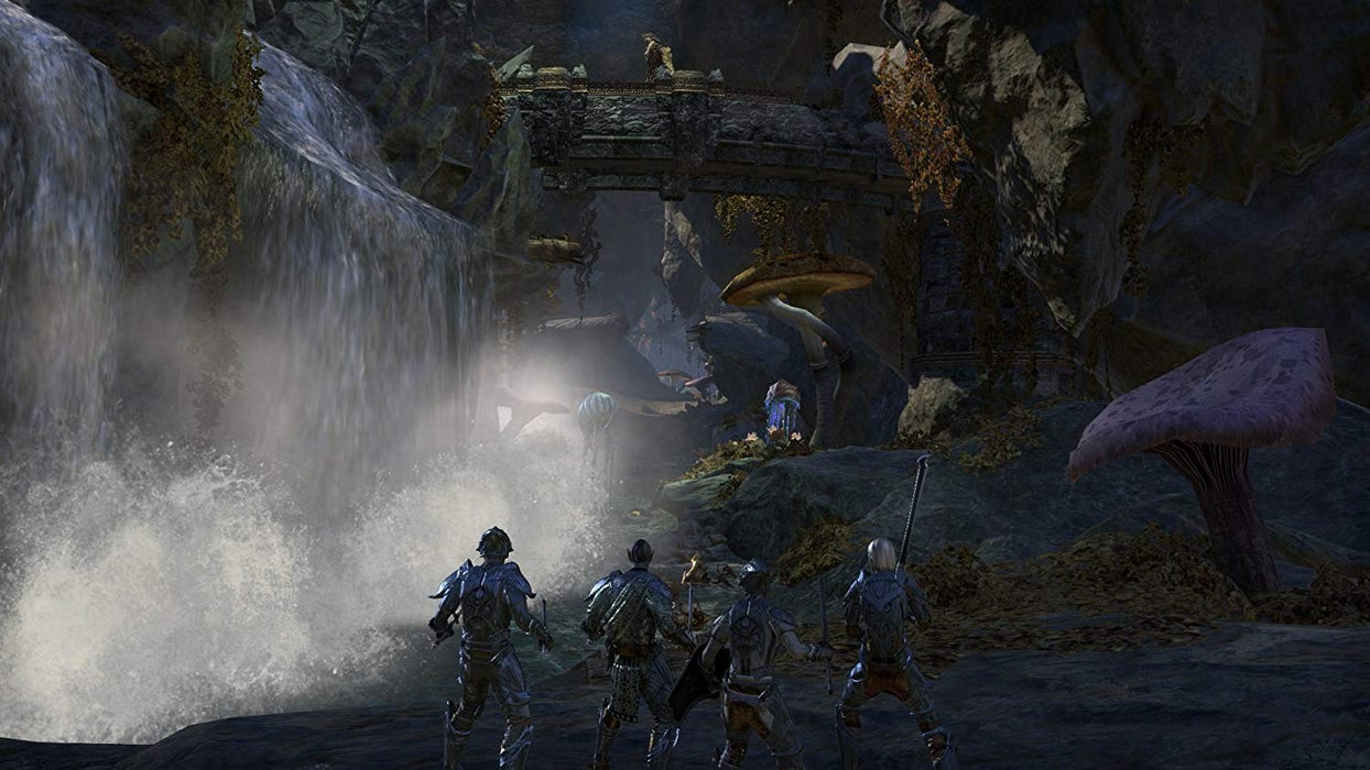 The Elder Scrolls Online: Morrowind [PlayStation 4]